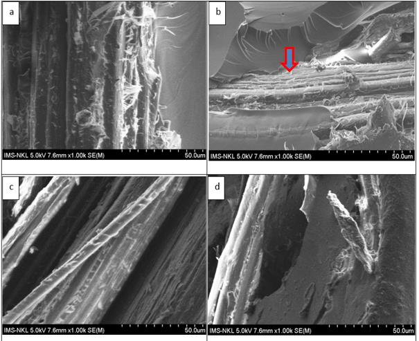 Nghiên cứu sử dụng sợi tre và sợi nano carbon trong chế tạo vật liệu nanocomposite nền nhựa Epoxy Epikote 240